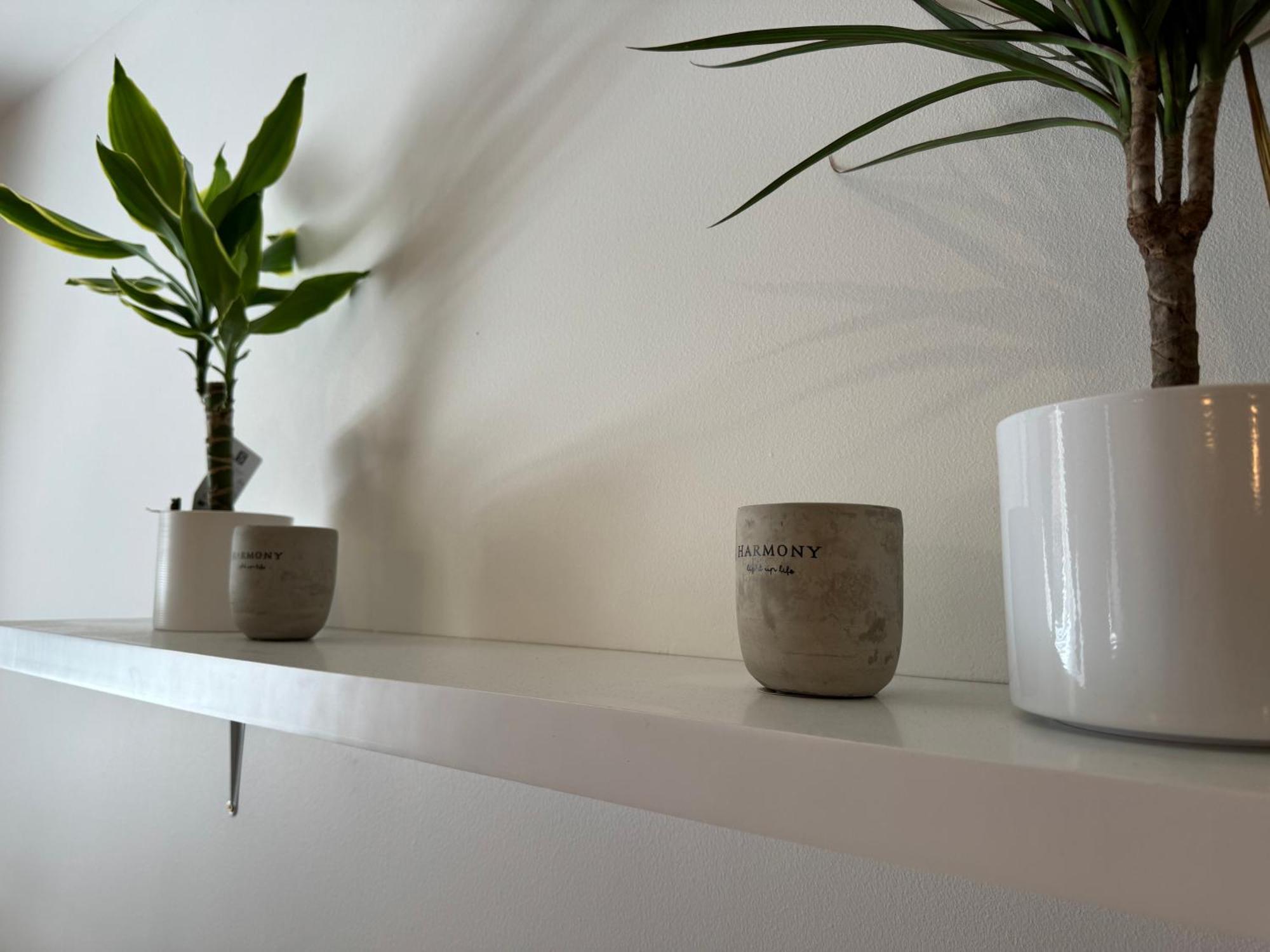 ריגה Stay In Art Nouveau District מראה חיצוני תמונה